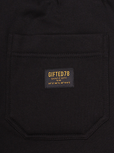 Брюки "GIFTED78" 25 Arena/758 черный Брюки "GIFTED78" 25 Arena/758 черный