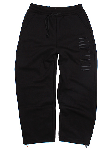 Брюки "GIFTED78" 25 Arena/758 черный Брюки "GIFTED78" 25 Arena/758 черный